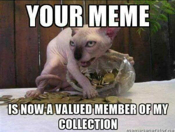 The meme features a photo of a cat, specifically a Sphynx, with a scowl on its face, surrounded by a pile of coins. The text above the cat reads "Your meme is now a valued member of my collection" and the text below says "I'm watching you". The image is humorous because it implies that the cat is not just a pet, but a valuable asset that's being watched and protected.